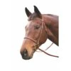 HDR Advantage Plain Raised Bridle 1 HDR Advantage Plain Raised Bridle -Equestrian Sports 6210185 1
