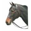 HDR Pro Collection Hunt Bridle