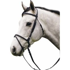 HDR Pro Collection Padded Flash Dressage Bridle
