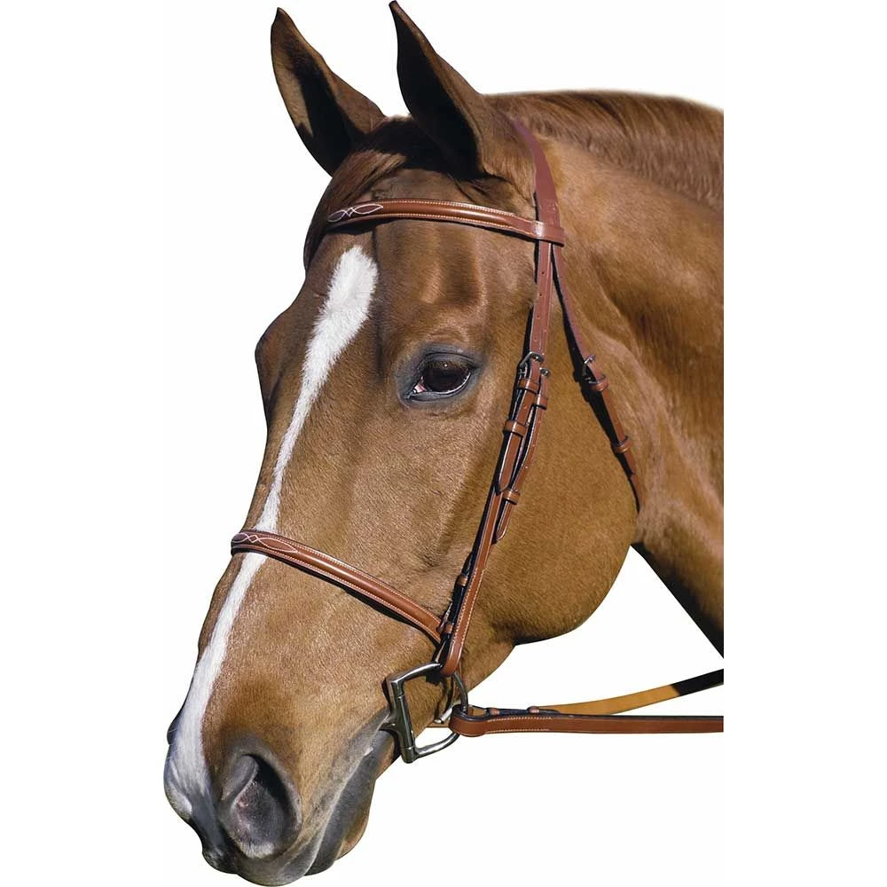 HDR Pro Collection Fancy Raised Bridle 3 HDR Pro Collection Fancy Raised Bridle