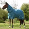 Weatherbeeta Green-Tec 900D Detach-A-Neck Heavy Turnout Blanket - Dragonfly Blue/Bottle Green