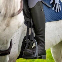 Shires Moretta Women's Gianna Leather Field Boots - Black -Equestrian Sports 685195 800 800