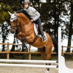 Horze Smoky Twilight Air Mesh Ear Net - Quiet Grey -Equestrian Sports 698836 800 800