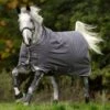 Amigo Bravo 12 Med (250g) -Equestrian Sports AmBr12Med