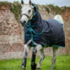 Amigo Bravo 12 Plus Pony Med (250g) 2 Amigo Bravo 12 Plus Pony Med (250g) -Equestrian Sports AmBr12PlusPony
