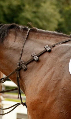 Correct Connect Aaron Vale Reins With 3 Padded Hand Grips