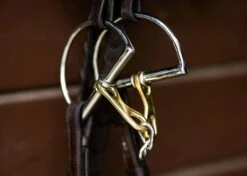 ProSeries Derby Bit - D Ring -Equestrian Sports EHI TIEC finals 2 fc875200 cc3b 44c5 b1b8 09b2f5237457 jpg