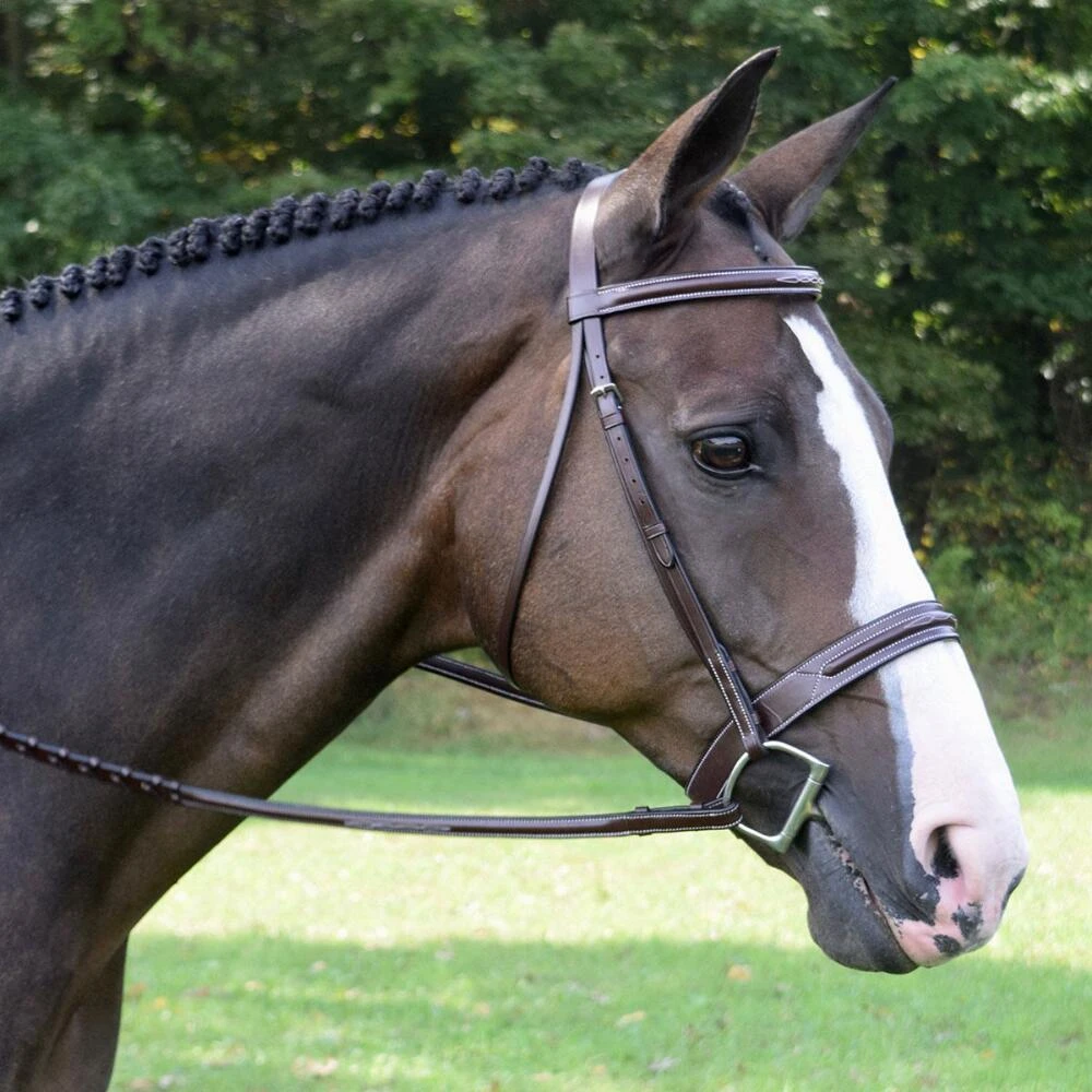 KL Select Red Barn Sonoma Fancy Hunter Bridle 3 KL Select Red Barn Sonoma Fancy Hunter Bridle