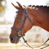 Kavalkade Ivy Plus Bridle -Equestrian Sports KavalkadeIvyPlusBridle