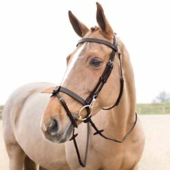 Horze Sparta Hunter Bridle