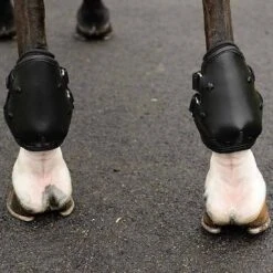 EquiFit AmpTeq Hind Boot -Equestrian Sports NS11251 2