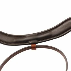 Ovation Cambridge Anatomic Bridle -Equestrian Sports NS471180 nosegel 1