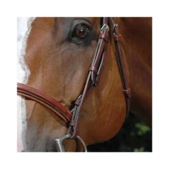 Vespucci 1/2" Hunter Bridle Cheek Piece - Hook Stud -Equestrian Sports NS810015 oakbark 2