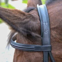 Vespucci Plain Raised Dressage Bridle - New Style 9 Vespucci Plain Raised Dressage Bridle - New Style -Equestrian Sports NS810416N 3 1 1