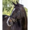 Vespucci Plain Raised Dressage Bridle - New Style