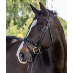 Vespucci Plain Raised Dressage Bridle - New Style