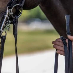 Vespucci Double Raised Weymouth Bridle - New Style -Equestrian Sports NS810418N 4