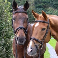 Vespucci Double Raised Snaffle Bridle - New Style 8 Vespucci Double Raised Snaffle Bridle - New Style -Equestrian Sports NS810420N 2