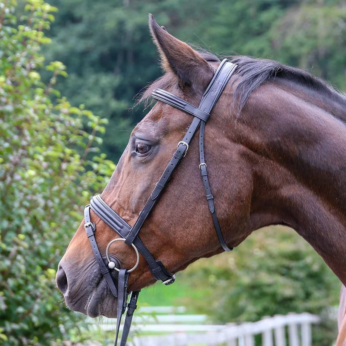 Vespucci Double Raised Snaffle Bridle - New Style 5 Vespucci Double Raised Snaffle Bridle - New Style - Image 3