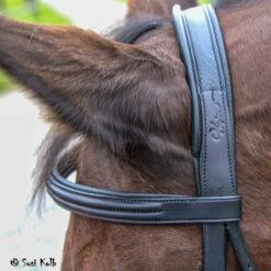 Vespucci Double Raised Snaffle Bridle - New Style 10 Vespucci Double Raised Snaffle Bridle - New Style -Equestrian Sports NS810420N 4