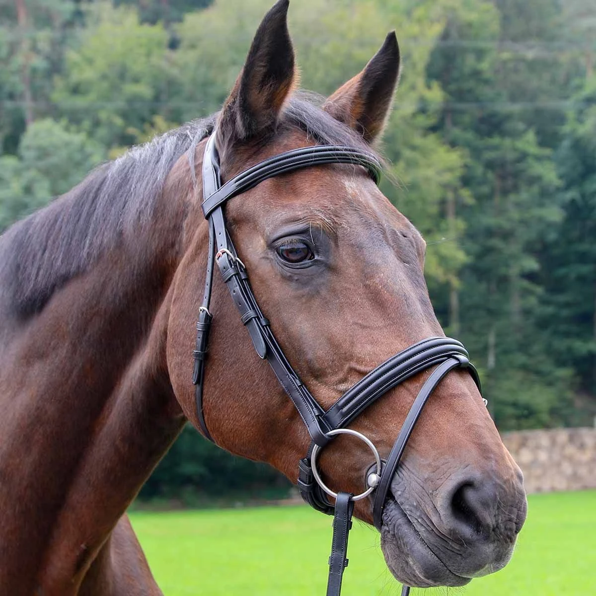 Vespucci Double Raised Snaffle Bridle - New Style 3 Vespucci Double Raised Snaffle Bridle - New Style