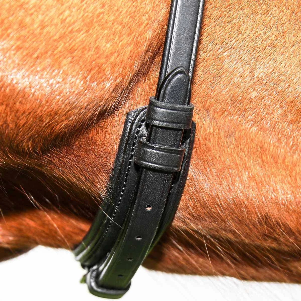 Vespucci Classic Dressage Bridle - New Style 5 Vespucci Classic Dressage Bridle - New Style - Image 3