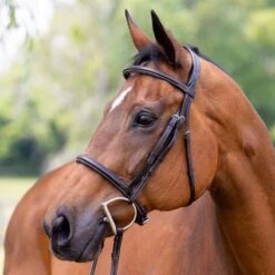 Vespucci Plain Raised Hunter Bridle - New Style