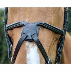 Vespucci Square Raised European Series Figure 8 Bridle -Equestrian Sports NS810474N black