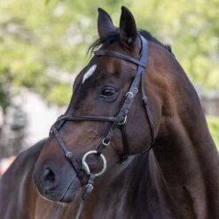 Vespucci Square Raised European Series Figure 8 Bridle -Equestrian Sports NS810474N brown 2