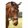 Nunn Finer Aformadi Flash Bridle 2 Nunn Finer Aformadi Flash Bridle -Equestrian Sports NSAFORM