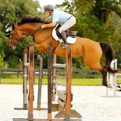 Correct Connect Aaron Vale Three Grip Rein -Equestrian Sports NSCCAV3 main lifestyle2