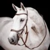 Rambo Micklem 2 Competition Bridle W/ Reins 2 Rambo Micklem 2 Competition Bridle W/ Reins -Equestrian Sports NSSBMOM2 2 4