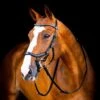 Rambo Micklem 2 Diamante Competition Bridle