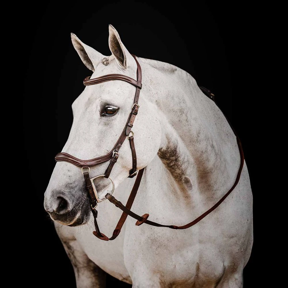 Rambo Micklem 2 Deluxe Competition Bridle W/ Reins 9 Rambo Micklem 2 Deluxe Competition Bridle W/ Reins - Image 7