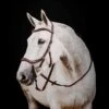 Rambo Micklem 2 Deluxe Competition Bridle W/ Reins 2 Rambo Micklem 2 Deluxe Competition Bridle W/ Reins -Equestrian Sports NSSBMUM2 2 6