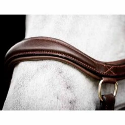 Rambo Micklem 2 Deluxe Competition Bridle W/ Reins 11 Rambo Micklem 2 Deluxe Competition Bridle W/ Reins -Equestrian Sports NSSBMUM2 3 1