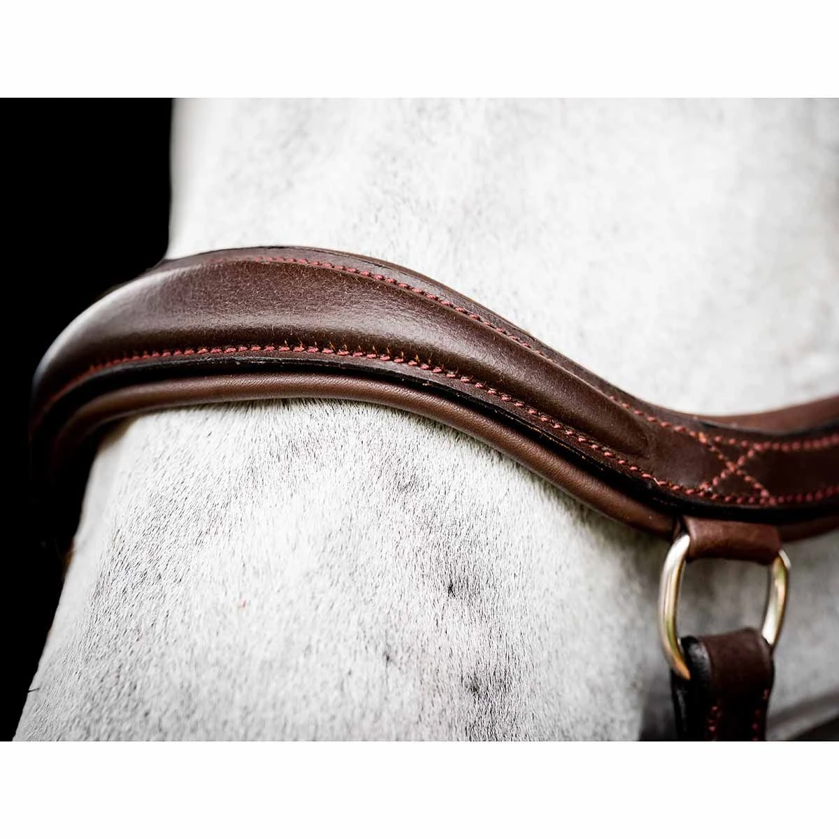 Rambo Micklem 2 Deluxe Competition Bridle W/ Reins 5 Rambo Micklem 2 Deluxe Competition Bridle W/ Reins - Image 3