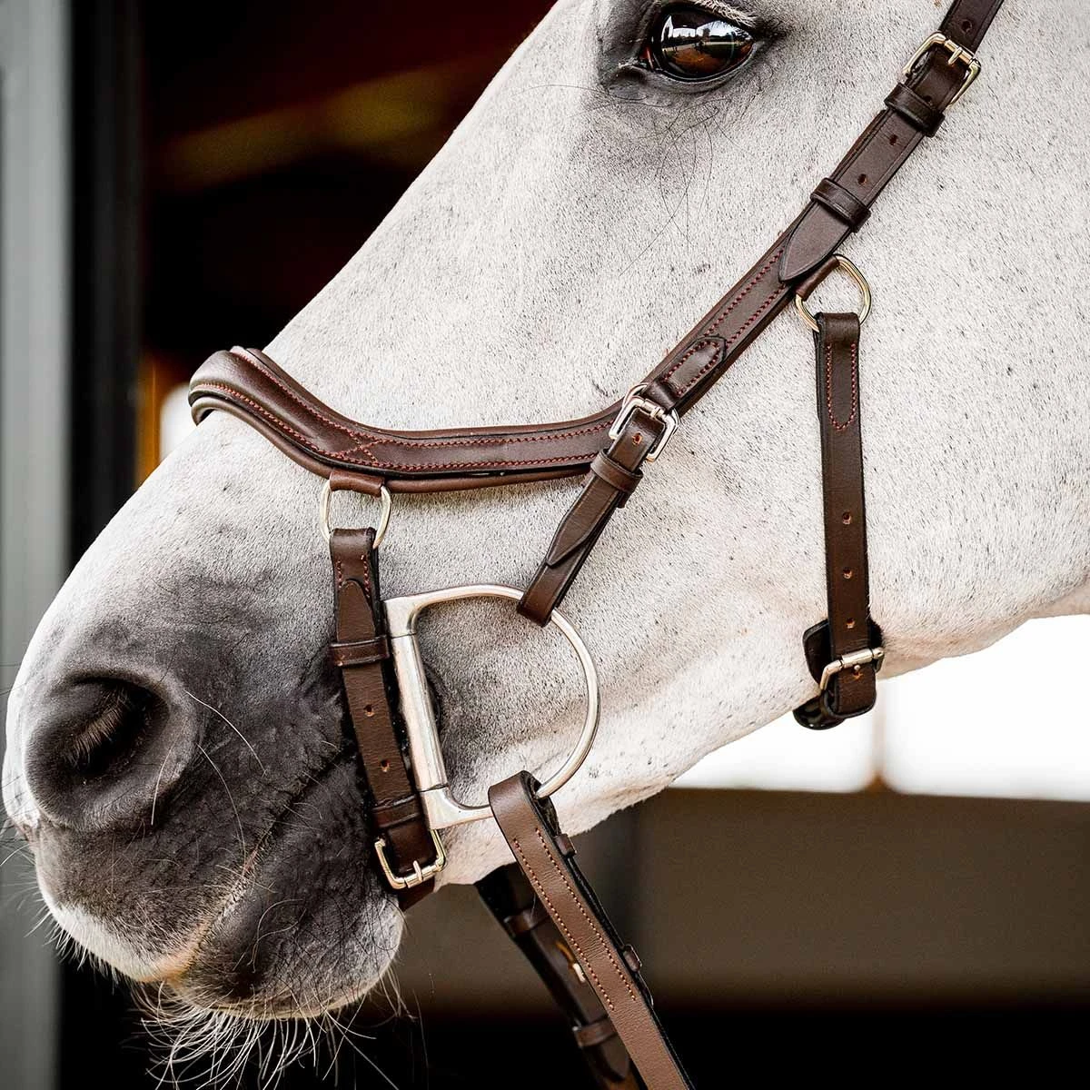 Rambo Micklem 2 Deluxe Competition Bridle W/ Reins 7 Rambo Micklem 2 Deluxe Competition Bridle W/ Reins - Image 5