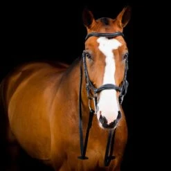 Rambo Micklem 2 Deluxe Competition Bridle W/ Reins 14 Rambo Micklem 2 Deluxe Competition Bridle W/ Reins -Equestrian Sports NSSBMUM2 4