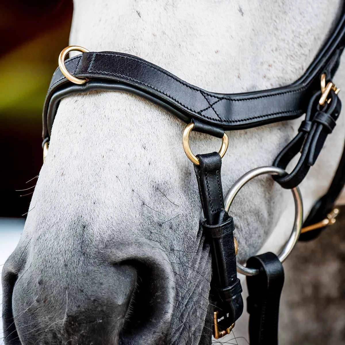 Rambo Micklem 2 Multi Bridle W/ Reins 4 Rambo Micklem 2 Multi Bridle W/ Reins - Image 2