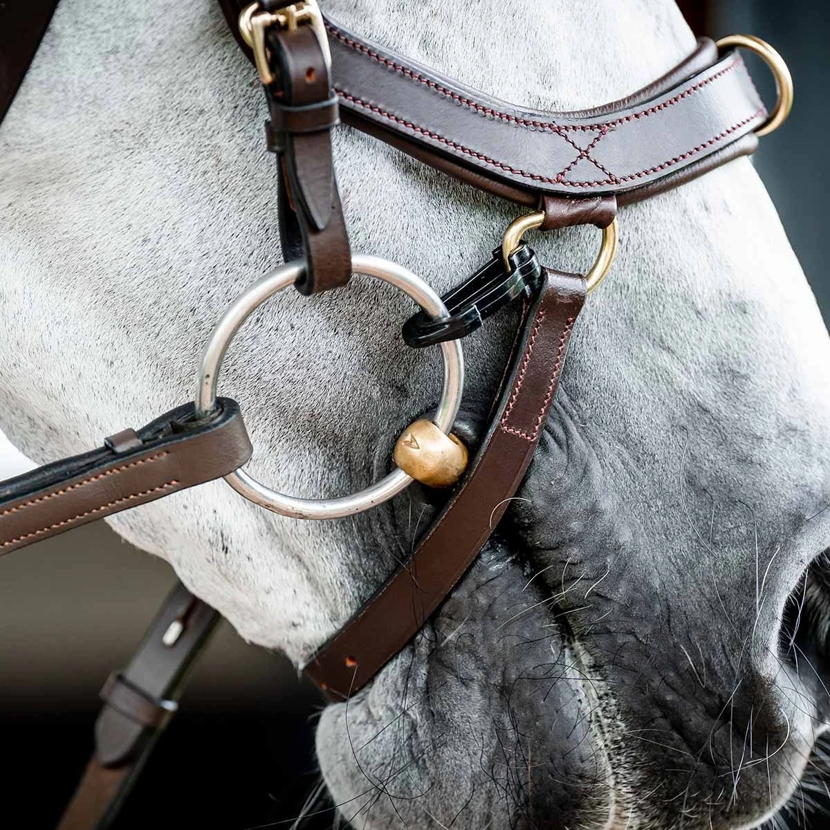 Rambo Micklem 2 Multi Bridle W/ Reins 5 Rambo Micklem 2 Multi Bridle W/ Reins - Image 3