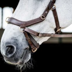 Rambo Micklem 2 Multi Bridle W/ Reins 13 Rambo Micklem 2 Multi Bridle W/ Reins -Equestrian Sports NSSBMXM1 4