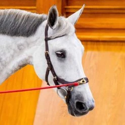 Rambo Micklem 2 Multi Bridle W/ Reins 14 Rambo Micklem 2 Multi Bridle W/ Reins -Equestrian Sports NSSBMXM1 5