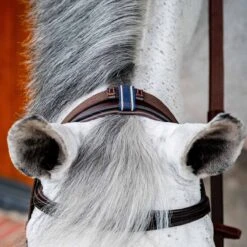 Rambo Micklem 2 Multi Bridle W/ Reins 15 Rambo Micklem 2 Multi Bridle W/ Reins -Equestrian Sports NSSBMXM1 6