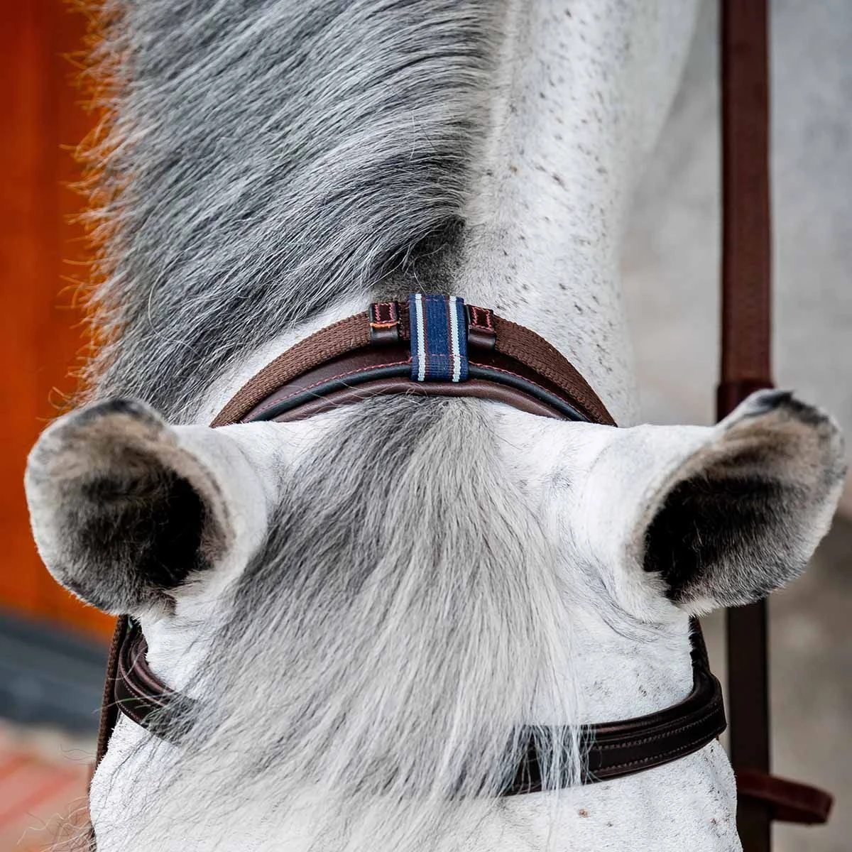 Rambo Micklem 2 Multi Bridle W/ Reins 8 Rambo Micklem 2 Multi Bridle W/ Reins - Image 6