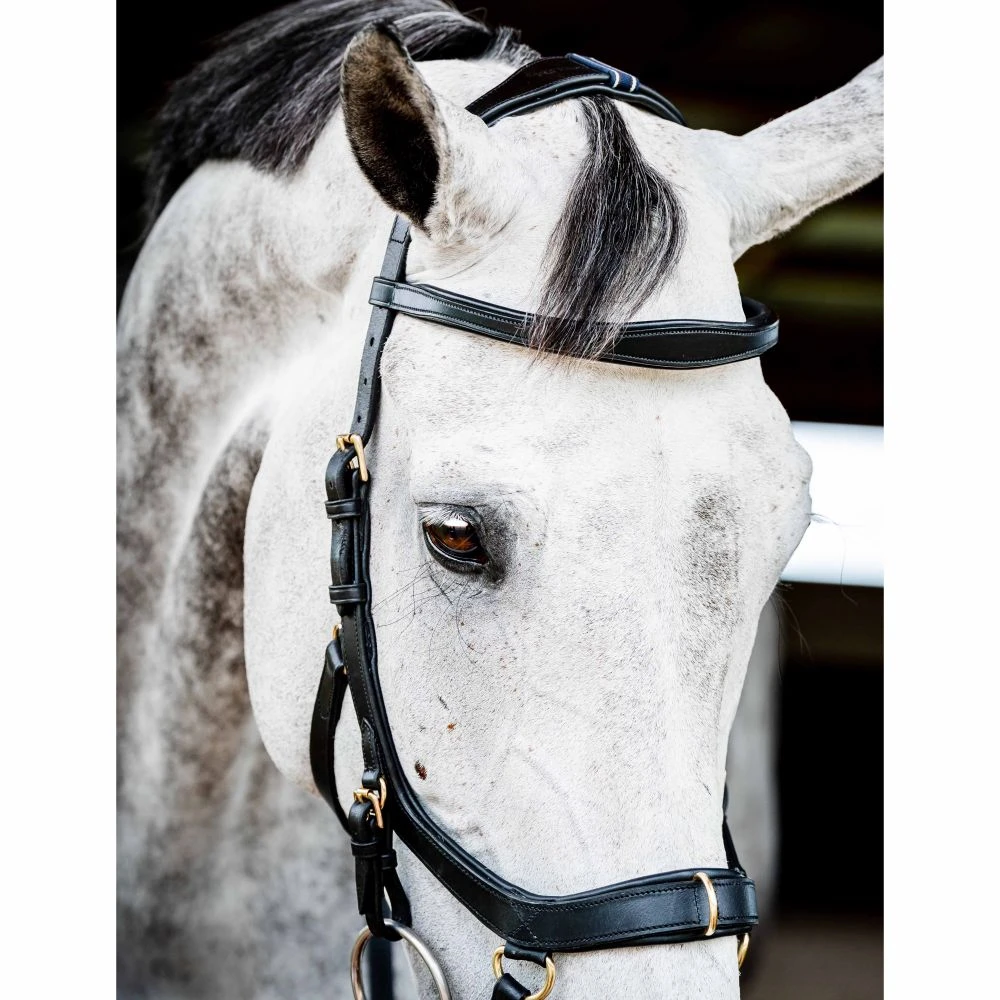 Rambo Micklem 2 Multi Bridle W/ Reins 10 Rambo Micklem 2 Multi Bridle W/ Reins - Image 8