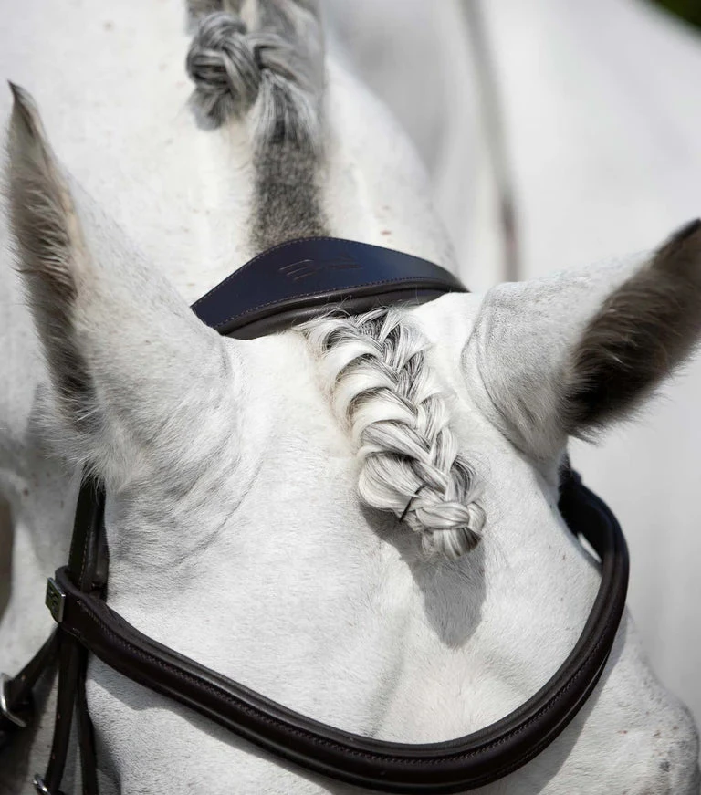 Premier Equine Rizzo Anatomic Snaffle Bridle With Flash 7 Premier Equine Rizzo Anatomic Snaffle Bridle With Flash - Image 5