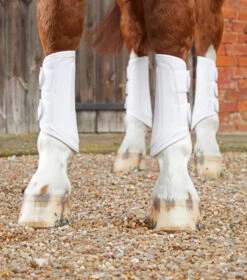 Premier Equine Carbon Air-Tech Double Locking Brushing Boots 11 Premier Equine Carbon Air-Tech Double Locking Brushing Boots -Equestrian Sports PEcarbon air tech double locking brushing bootswht1