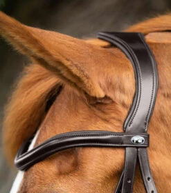 Premier Equine Glorioso Grackle Bridle 9 Premier Equine Glorioso Grackle Bridle -Equestrian Sports PEglorioso grackle bridle2