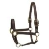 Perri's Safety Halter -Equestrian Sports Perri sSafetyHalterblack